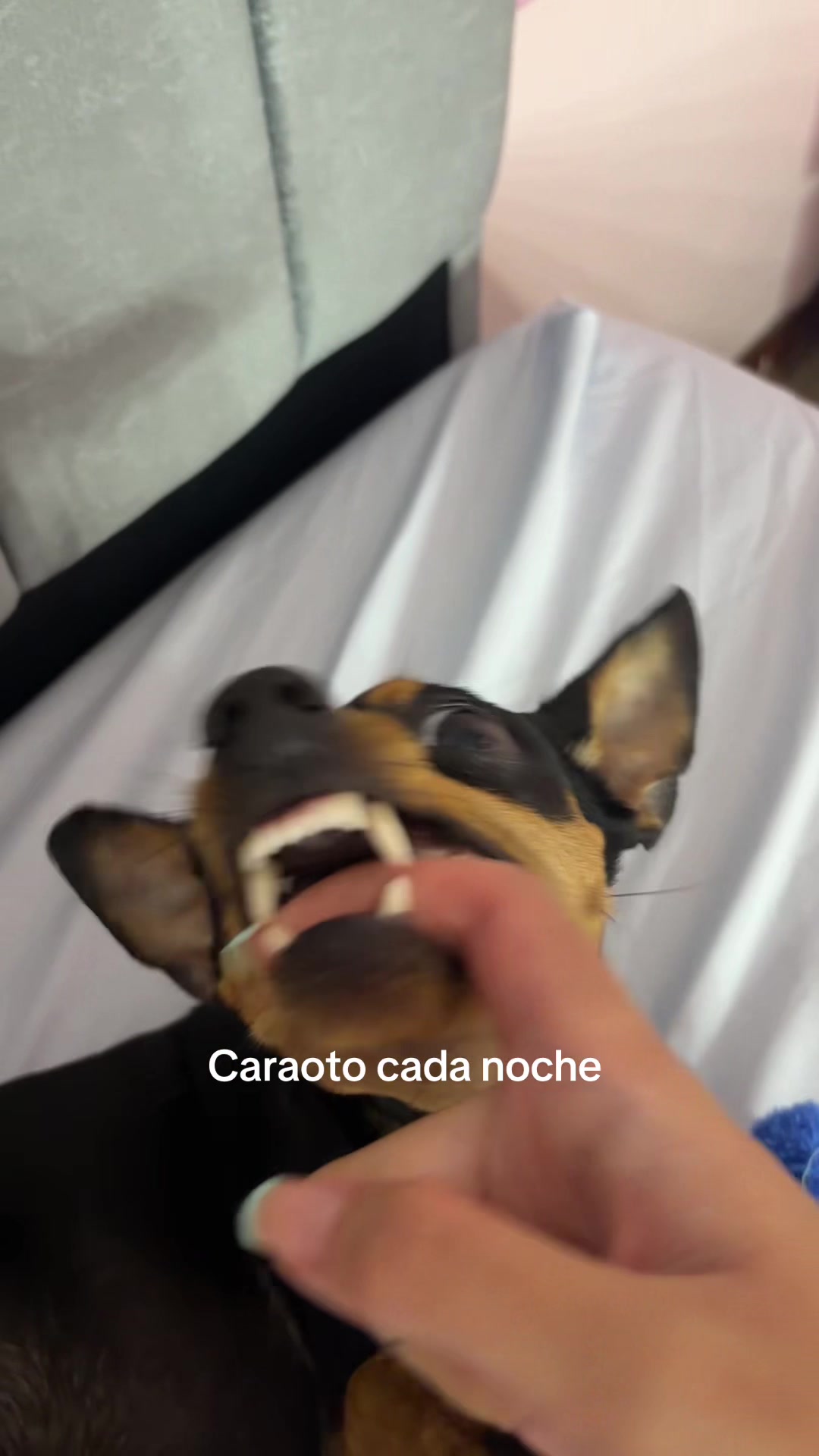 @vicruti