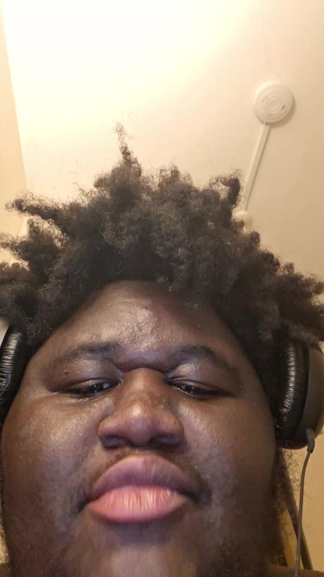 @bigboihums