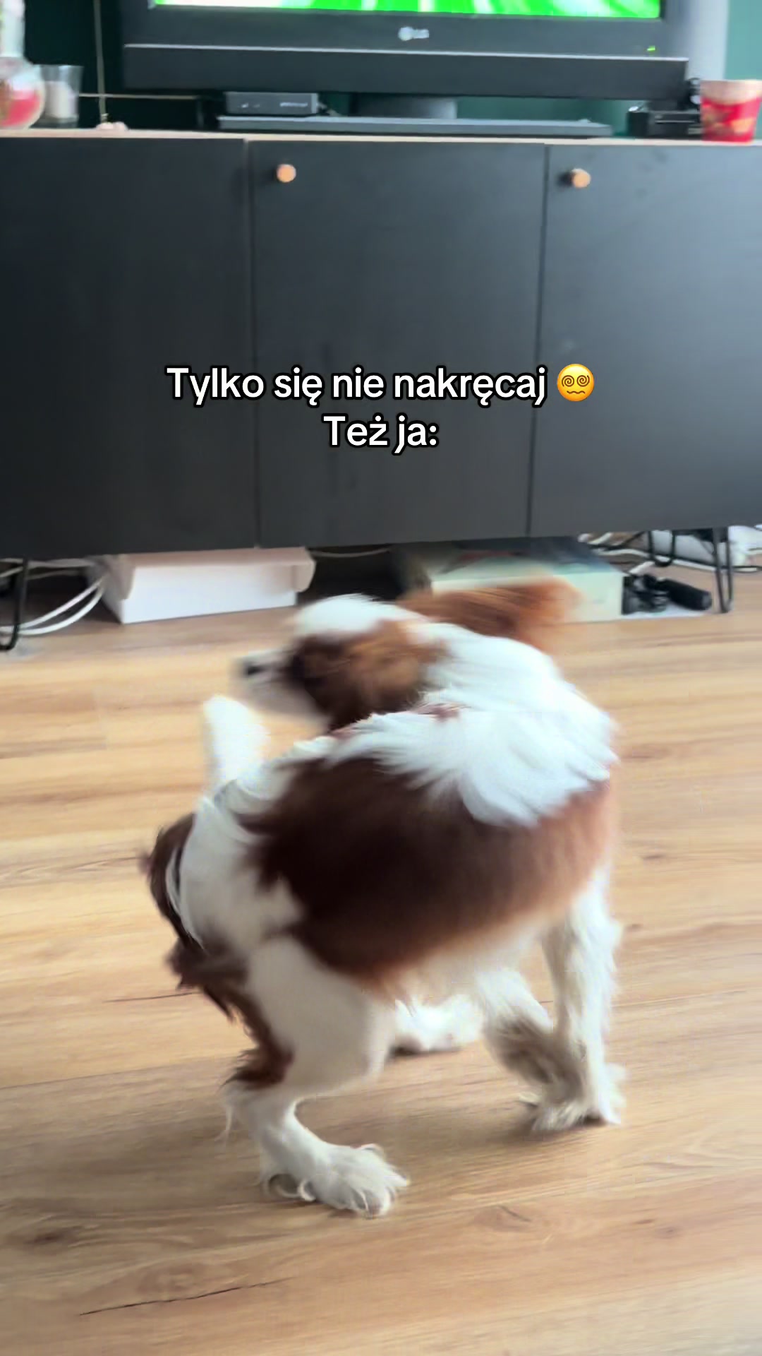 @Roksiv3