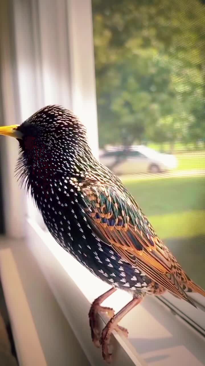 @Zubi🙋&zwj;♀️زوبی