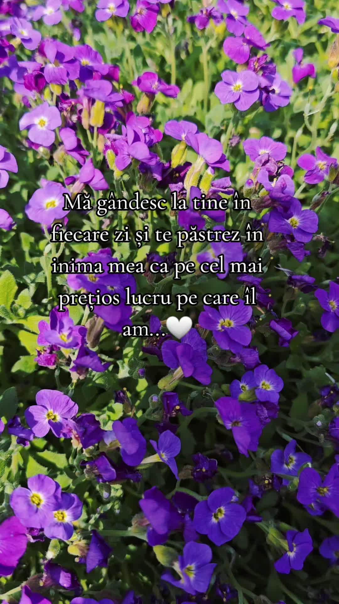 @♡Nadia♡