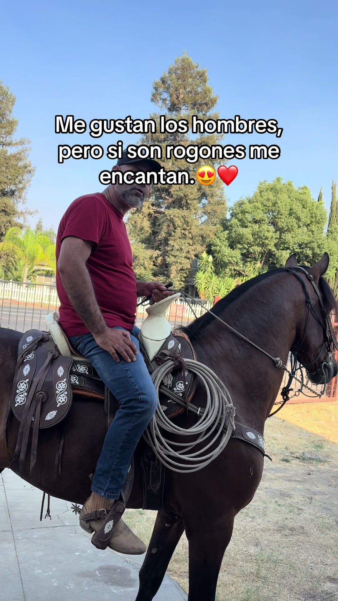 @🌸 𝓟єяℓα🌸