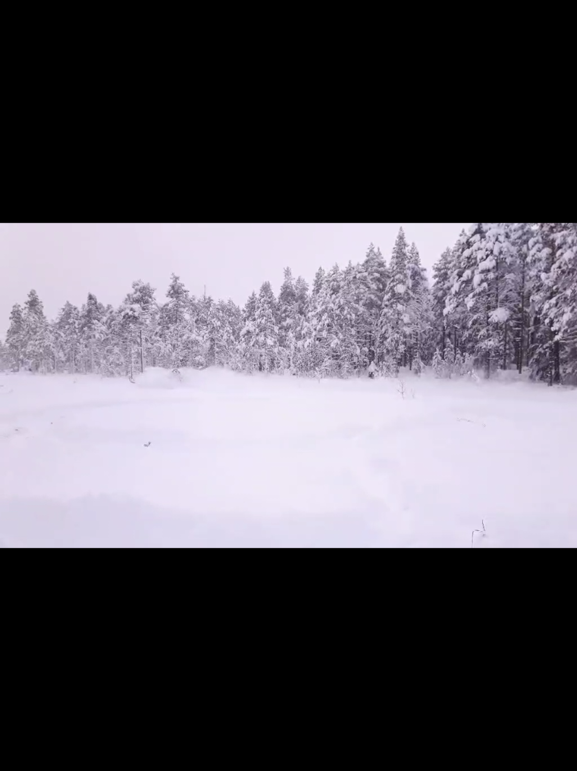 @Oskar Åström