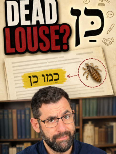 @Elon Gilad