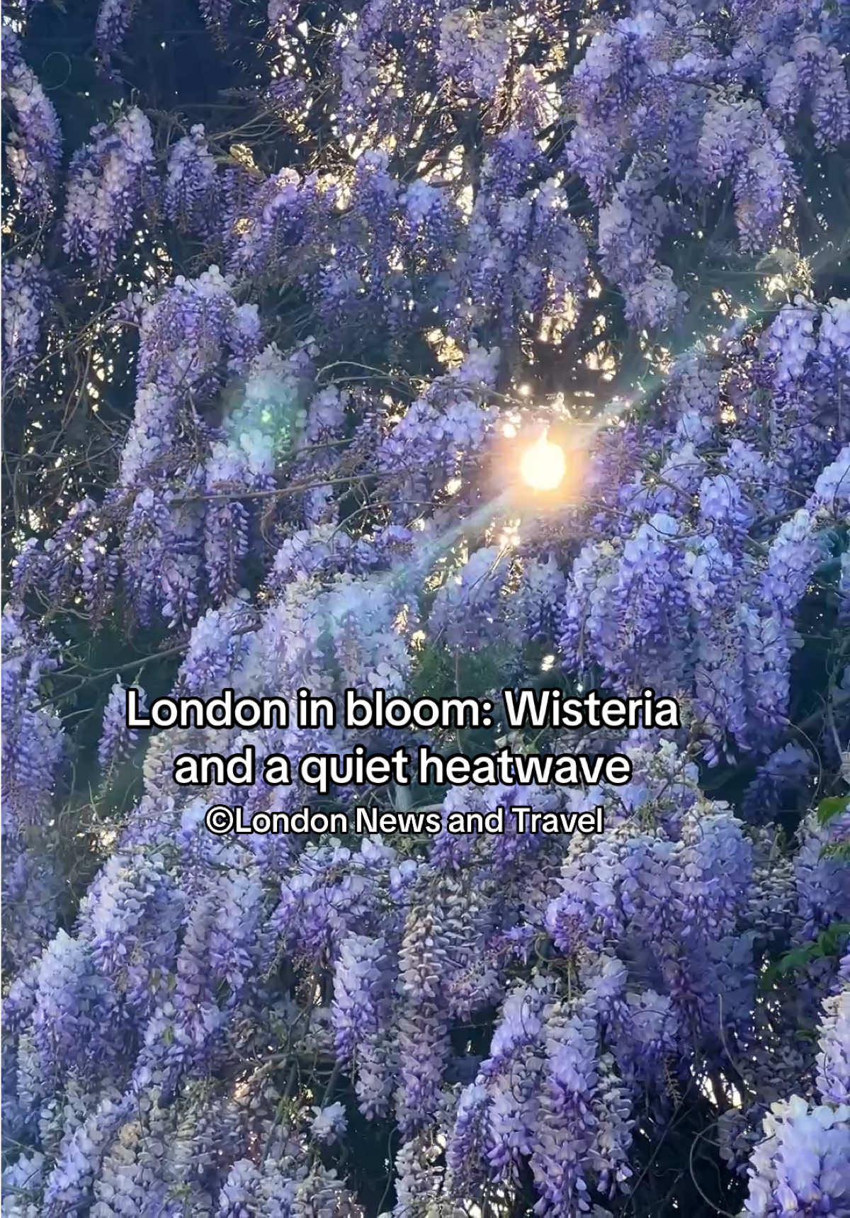 @London News and Travel