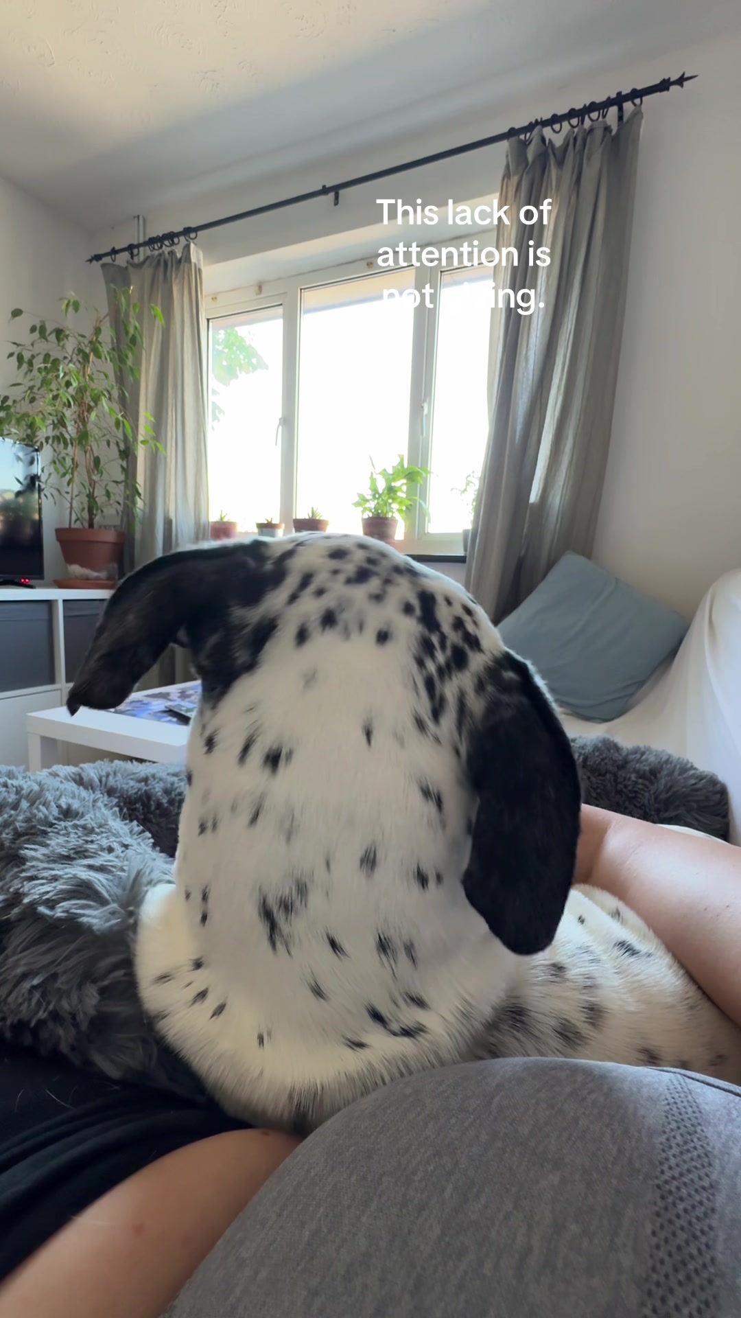 @spottybonnie