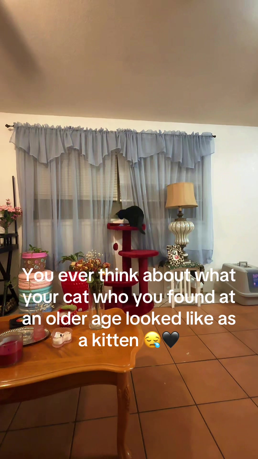 @_strawberrypoundcake