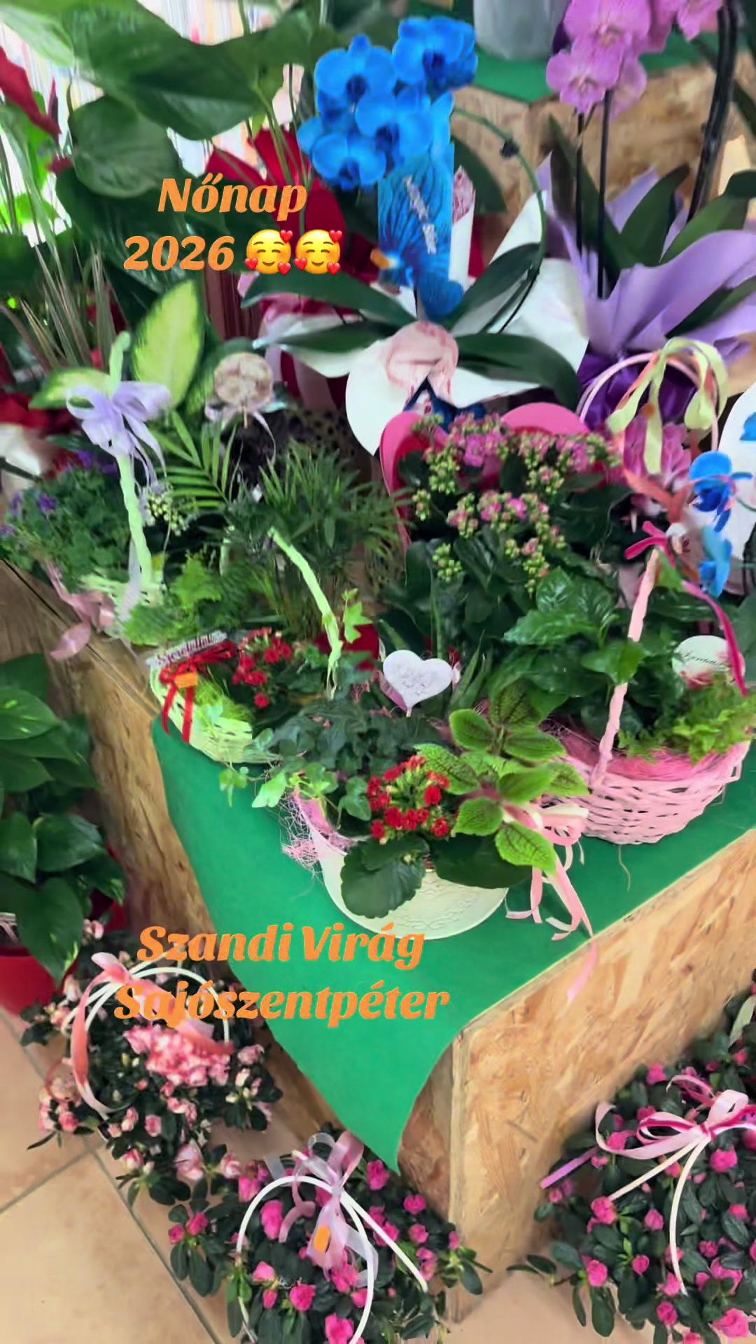 @SzandiVir&aacute;g