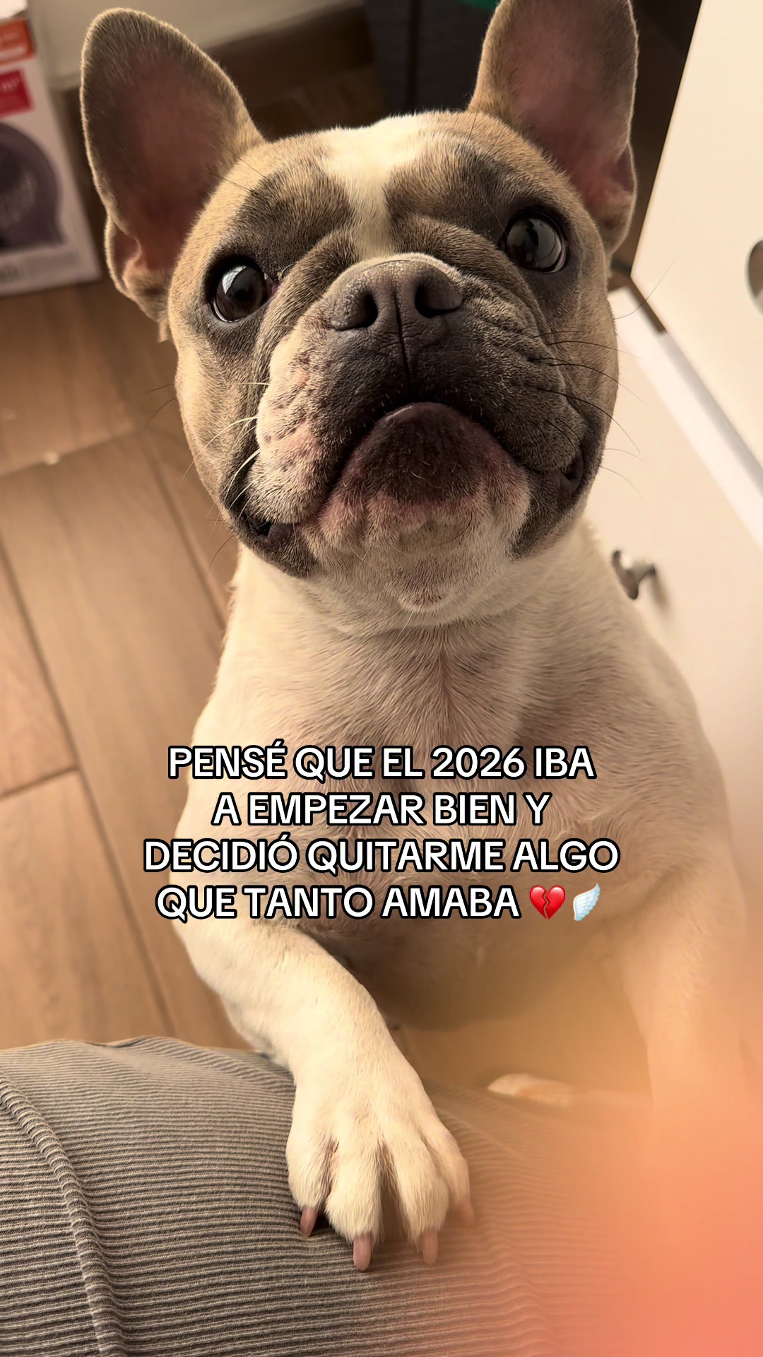 @jtatianasilvad