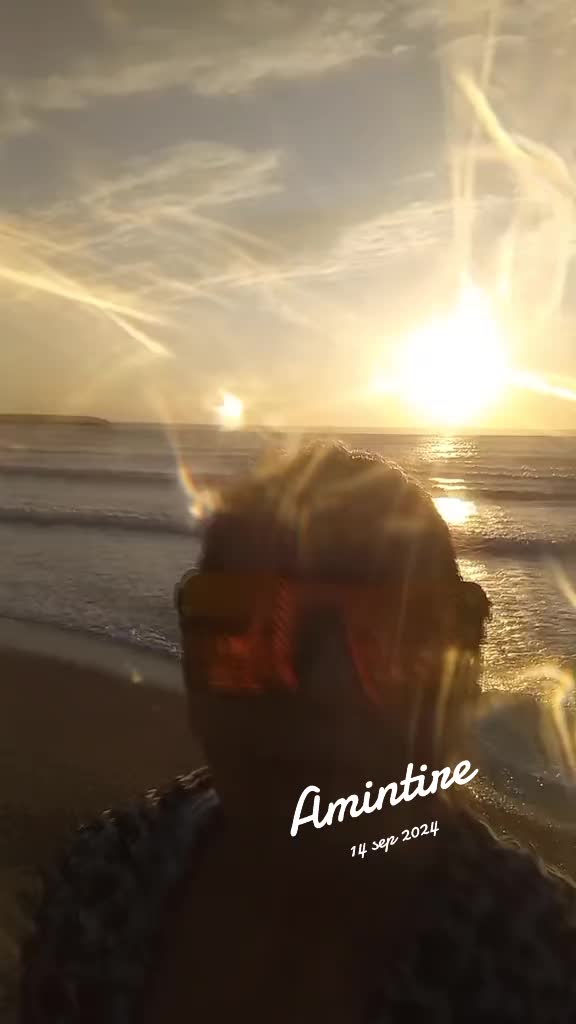 @nicoletavoicila13