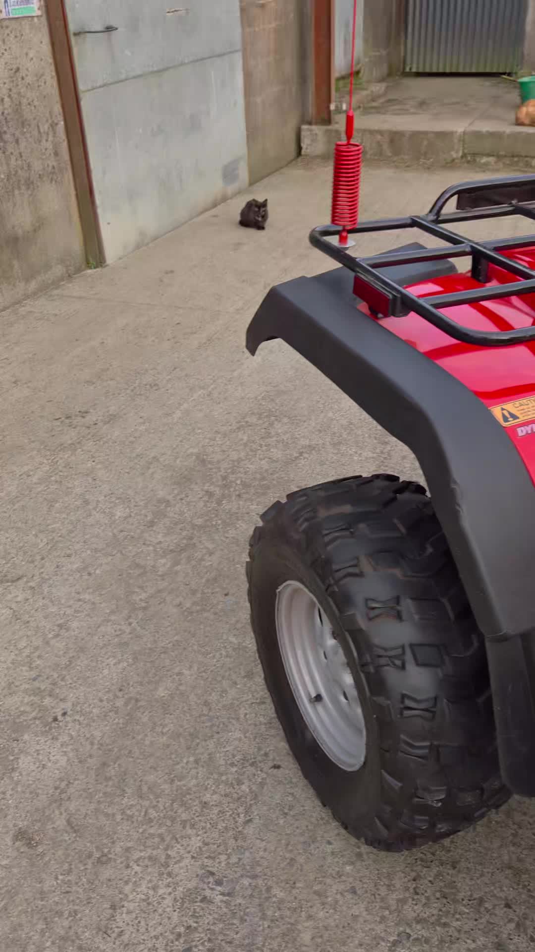 @𝘼𝘿𝘼𝙈 𝙈𝘼𝙍𝙏𝙄𝙉