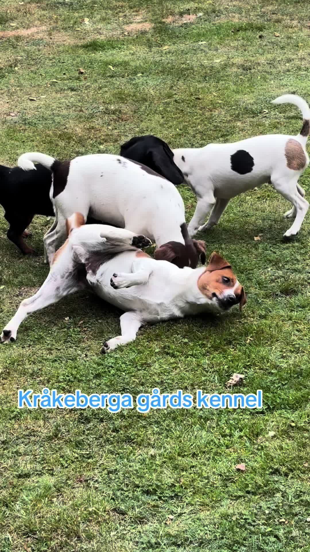 @Anna