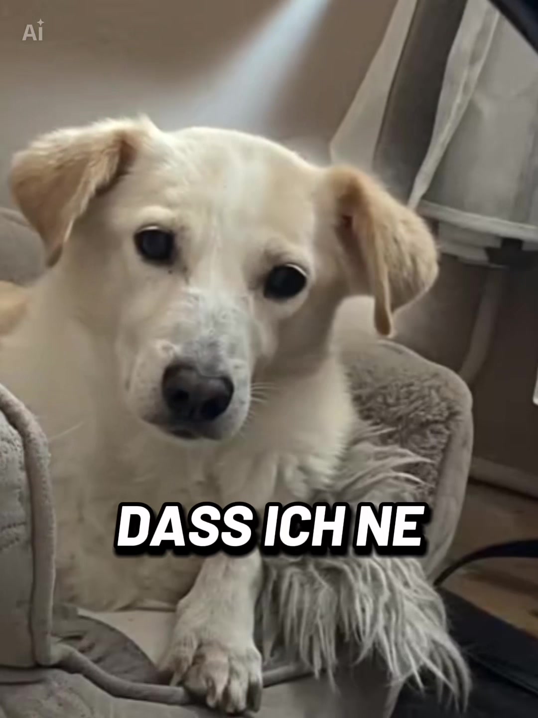 @Joschi