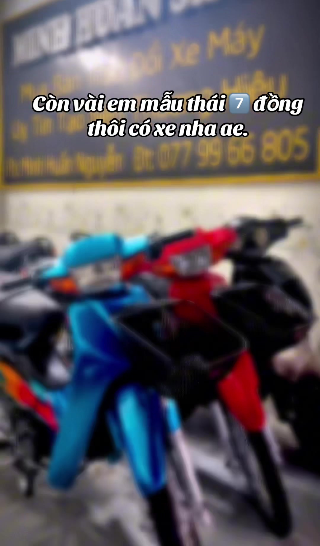 @Minh Huấn Shop ✅