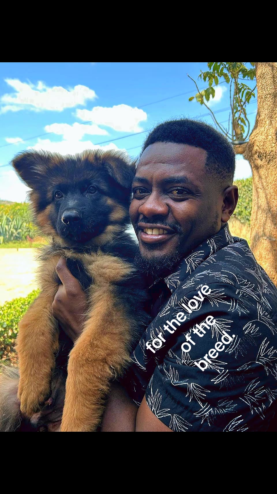 @Kims Kennel 🇰🇪