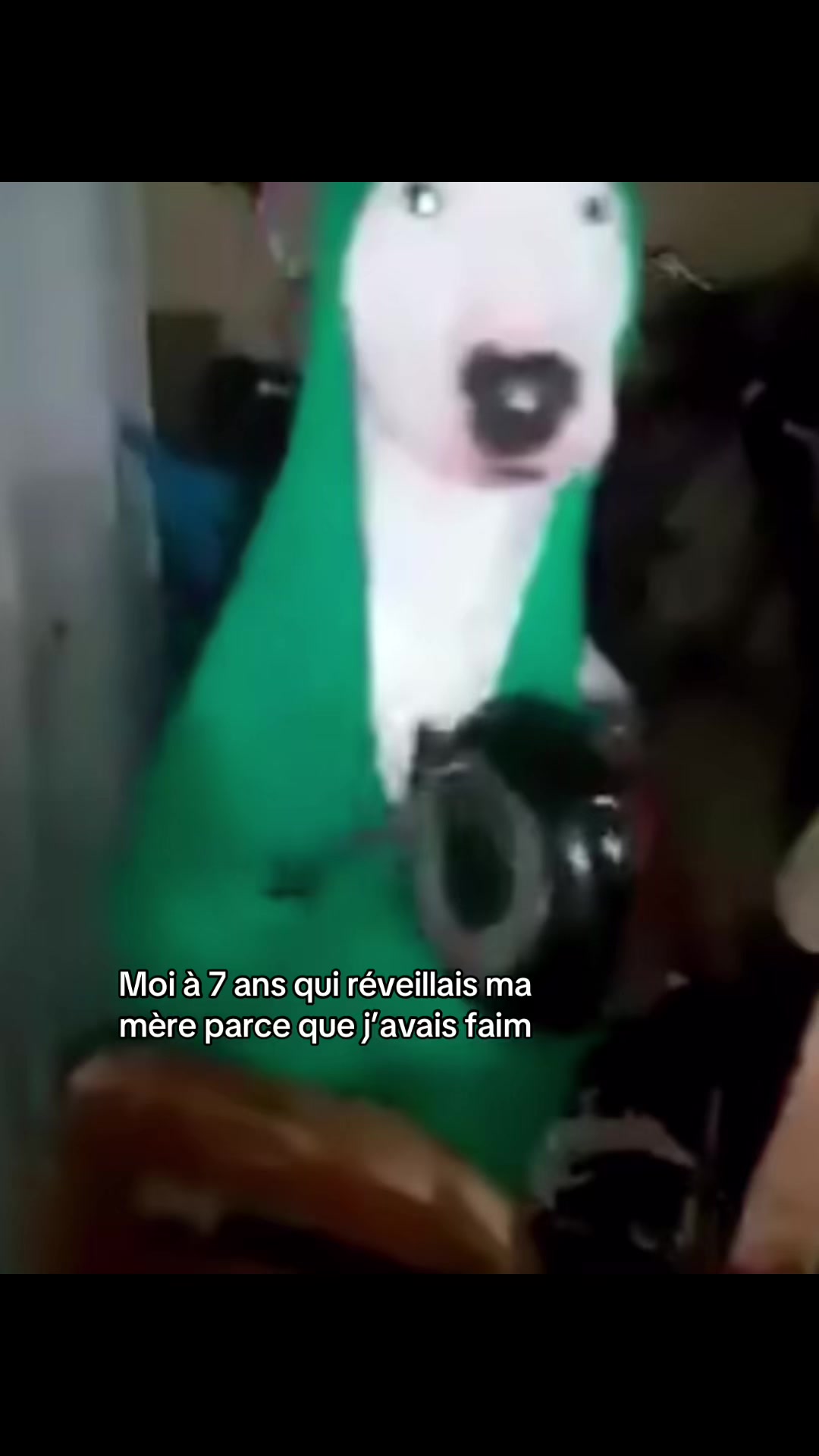 @d4l1_blgcm