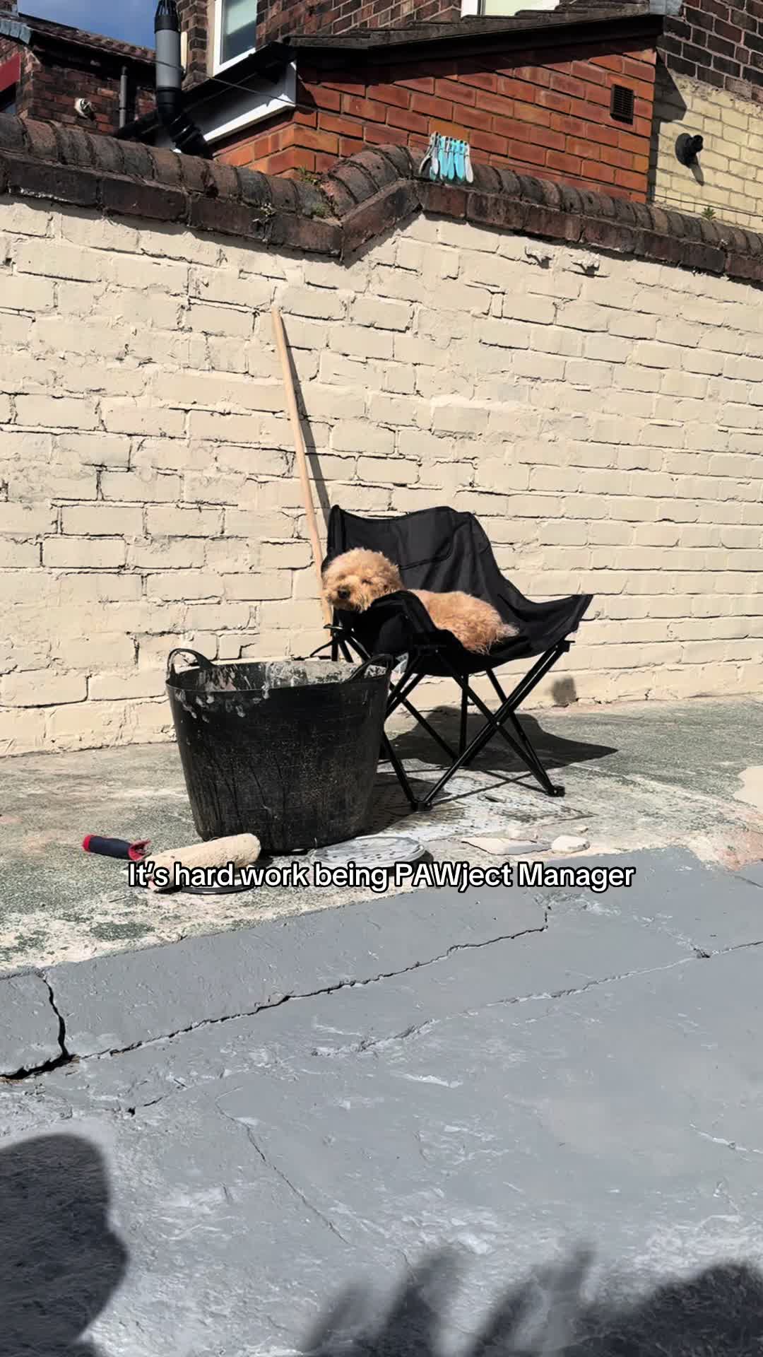 @JudgeGinger