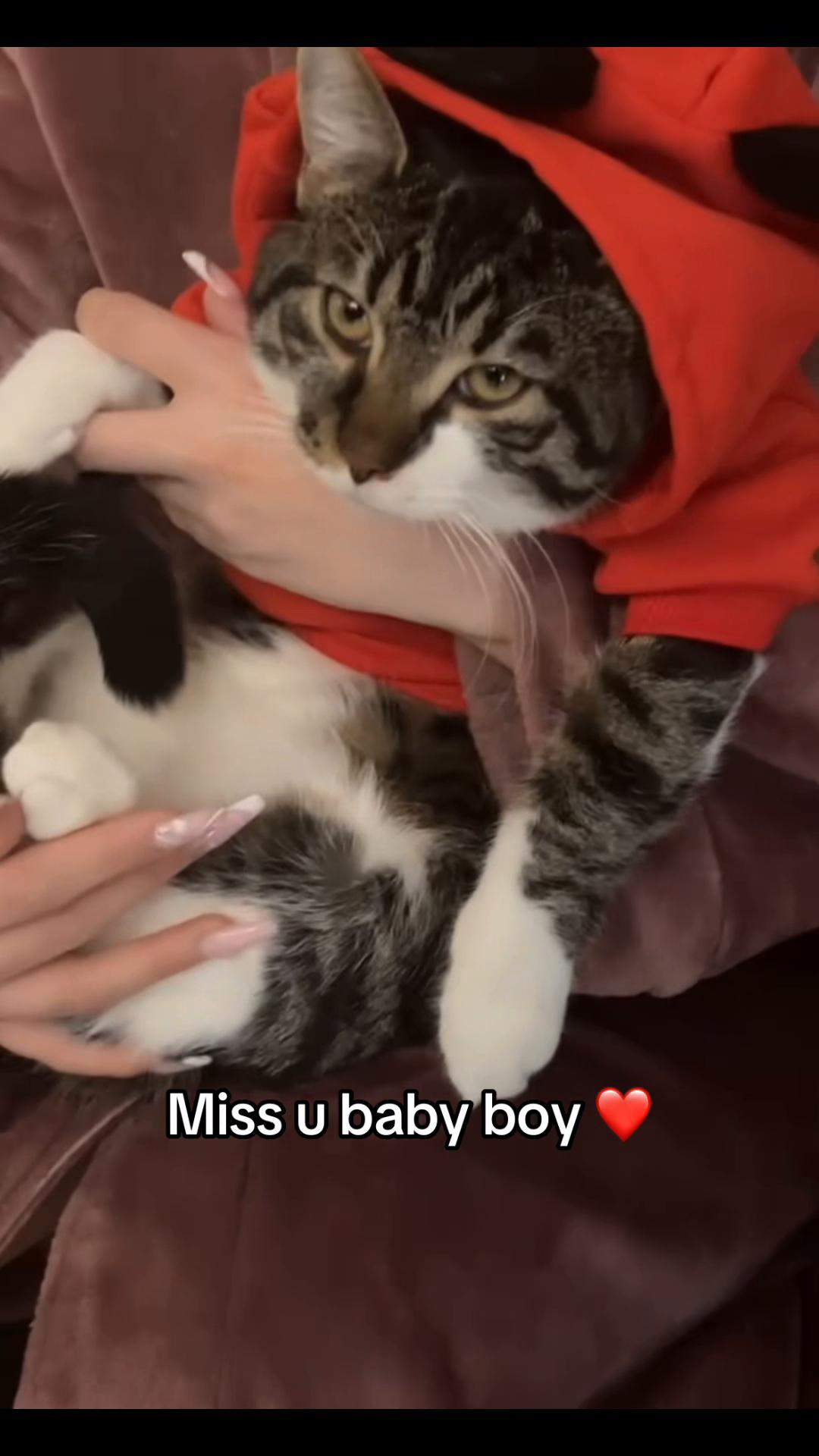 @Axotol