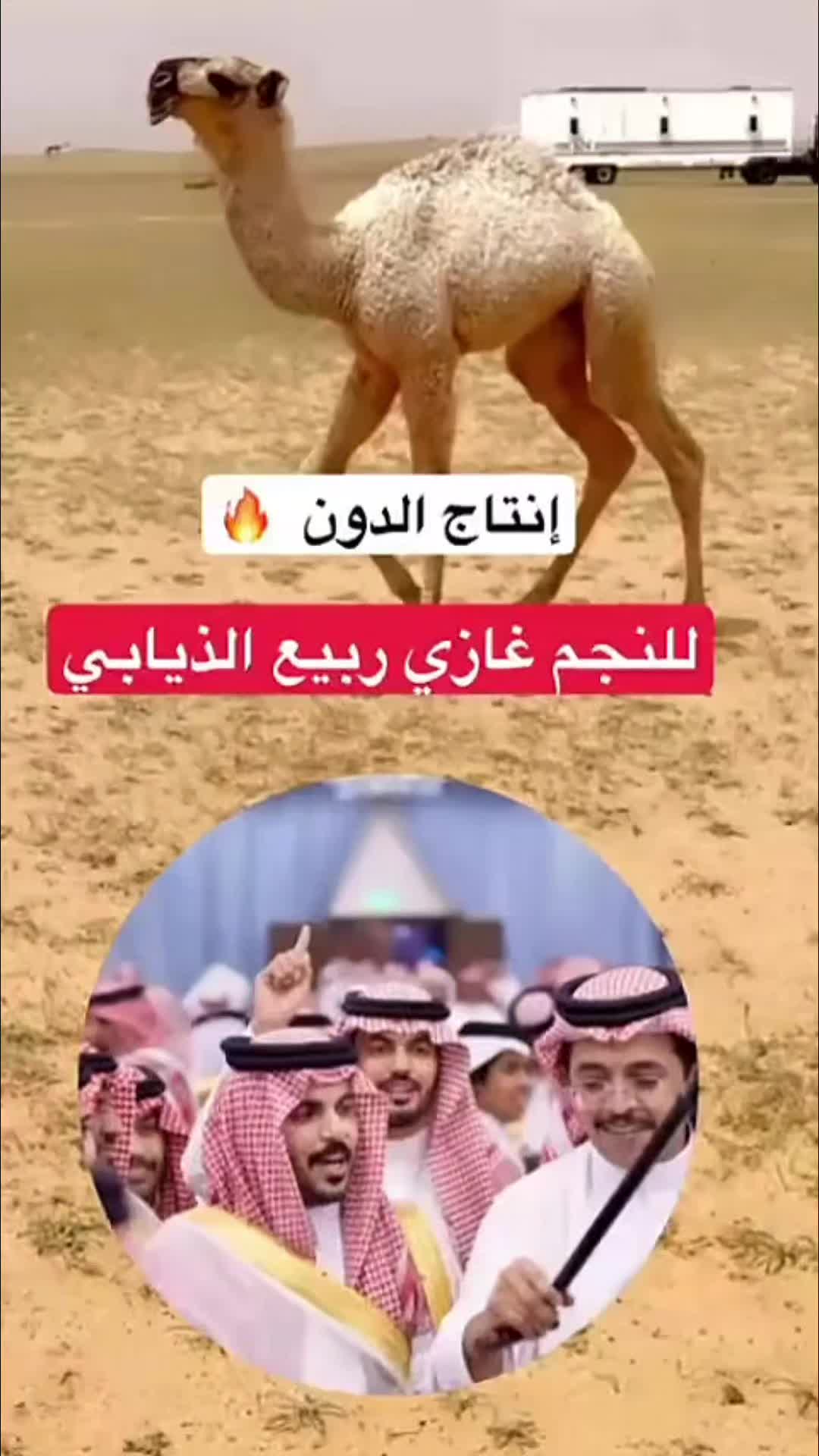@جمهور غازي الذيابي