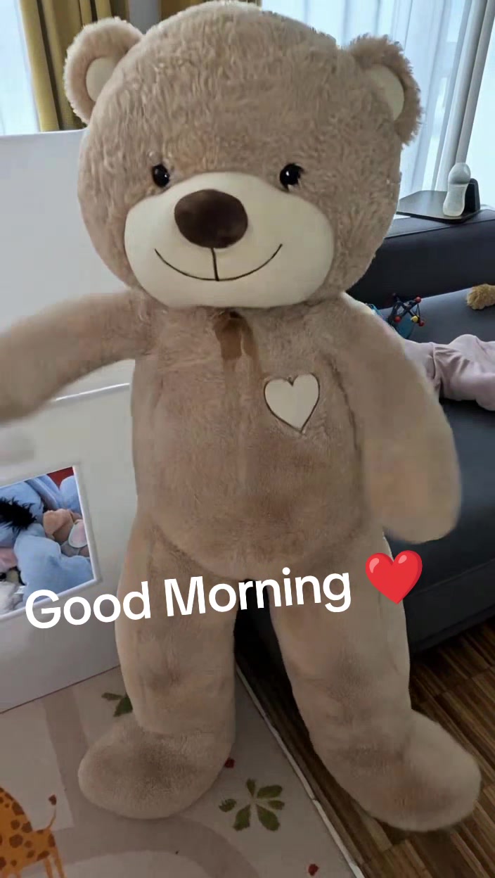 @brunocozy