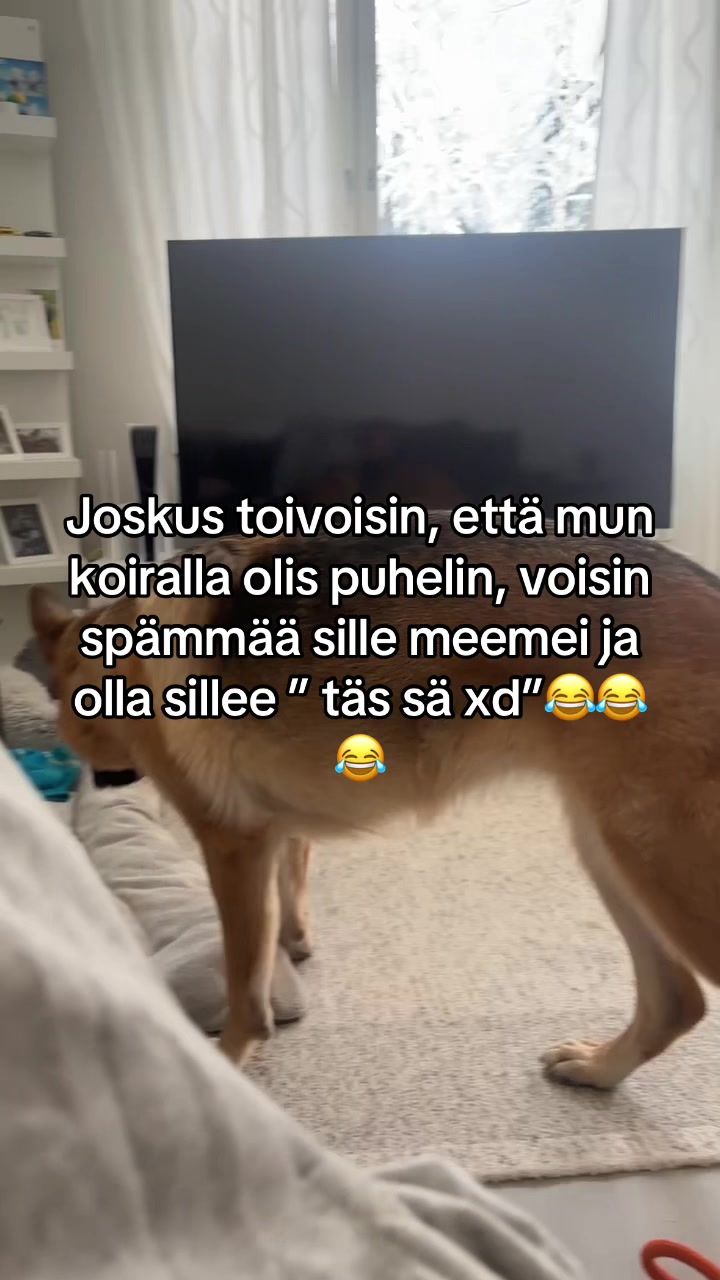 @alexravantti
