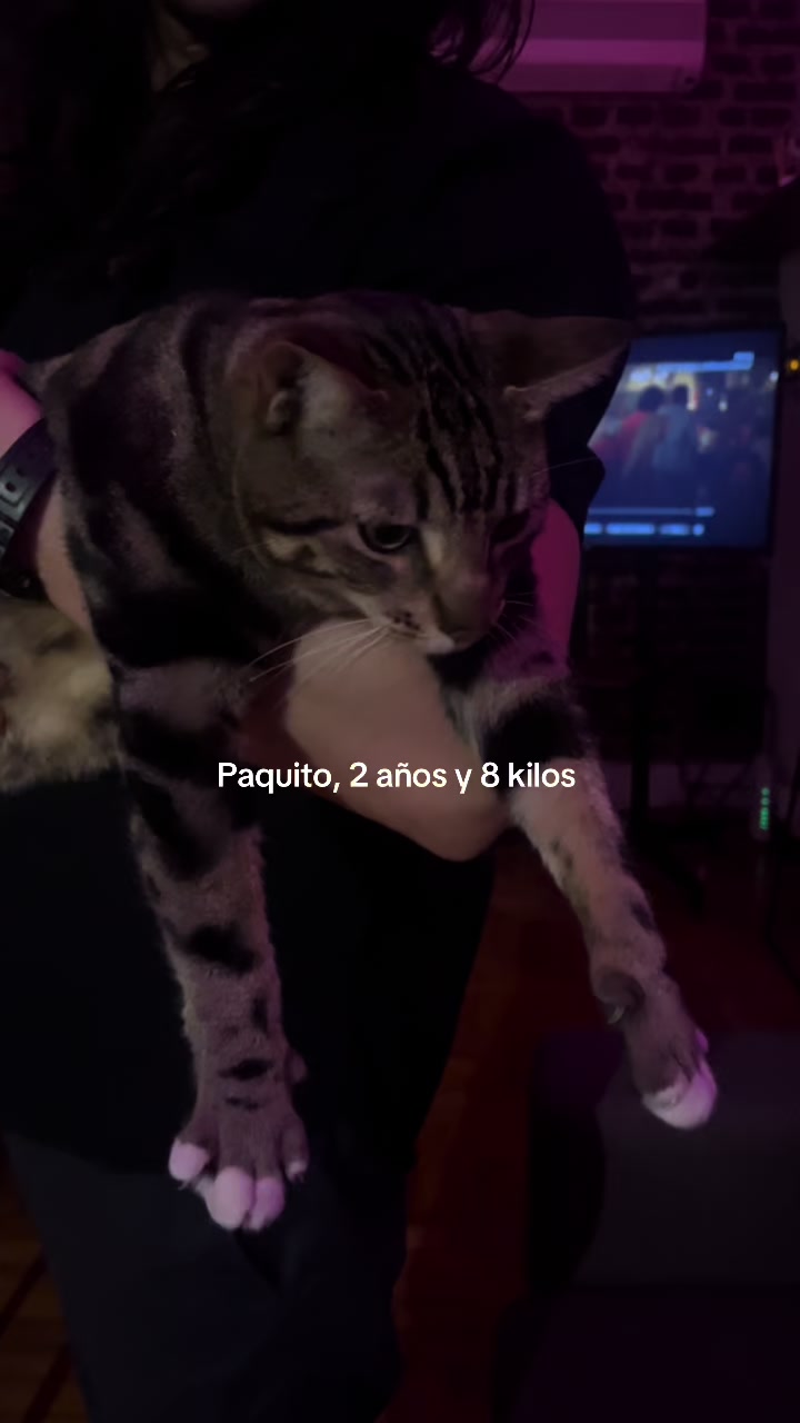 @𝐹𝑙𝑜𝑟𝑒𝑛𝑐𝑖𝑎 𓁇