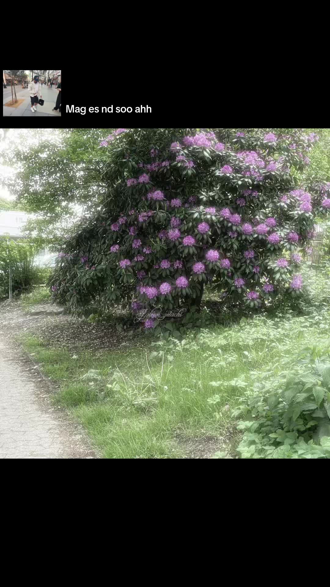 @𝐉𝐨𝐥𝐞𝐞𝐧_𝐱𝐳𝐢𝐭𝐚𝐜𝐡𝐢