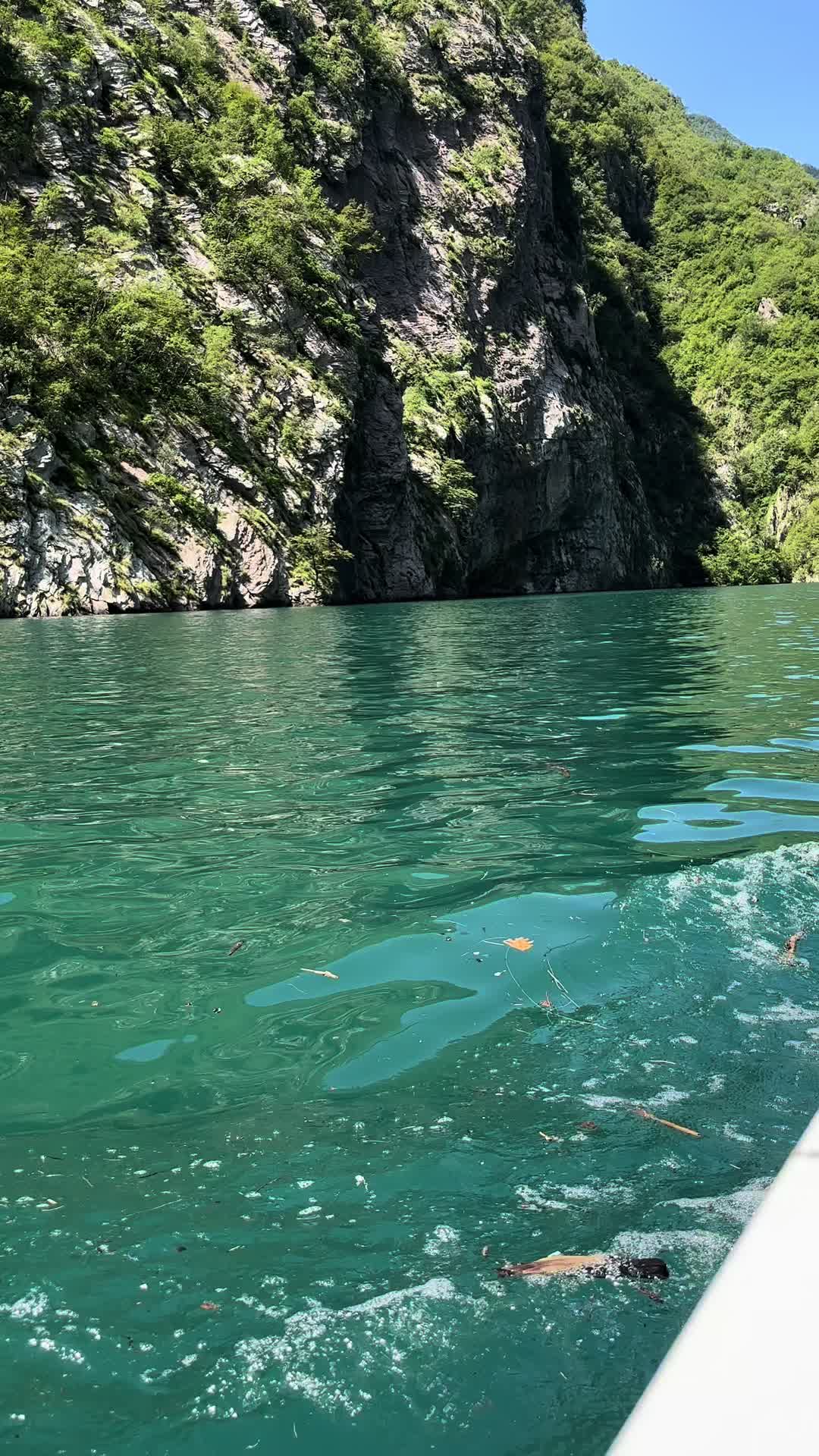 @🦋💎🇦🇱MIDE💎🦋🇦🇱