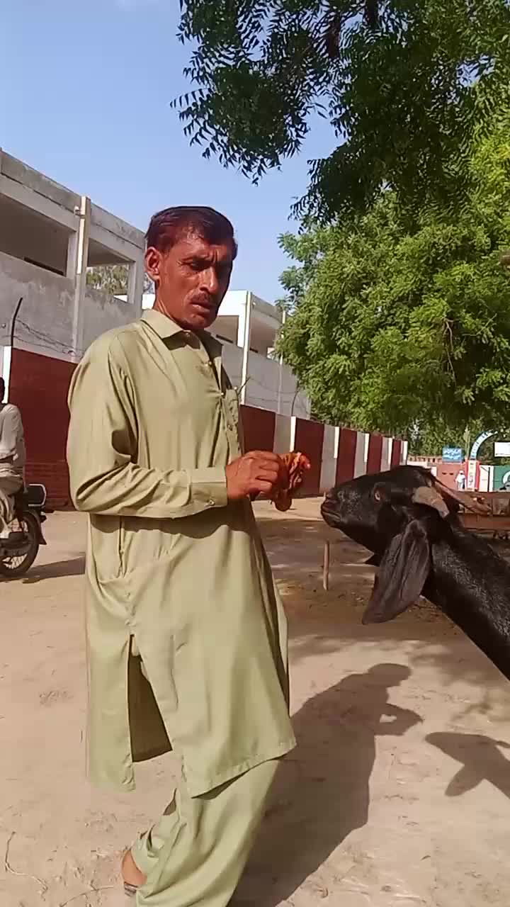 @chjaved16 Rehman king