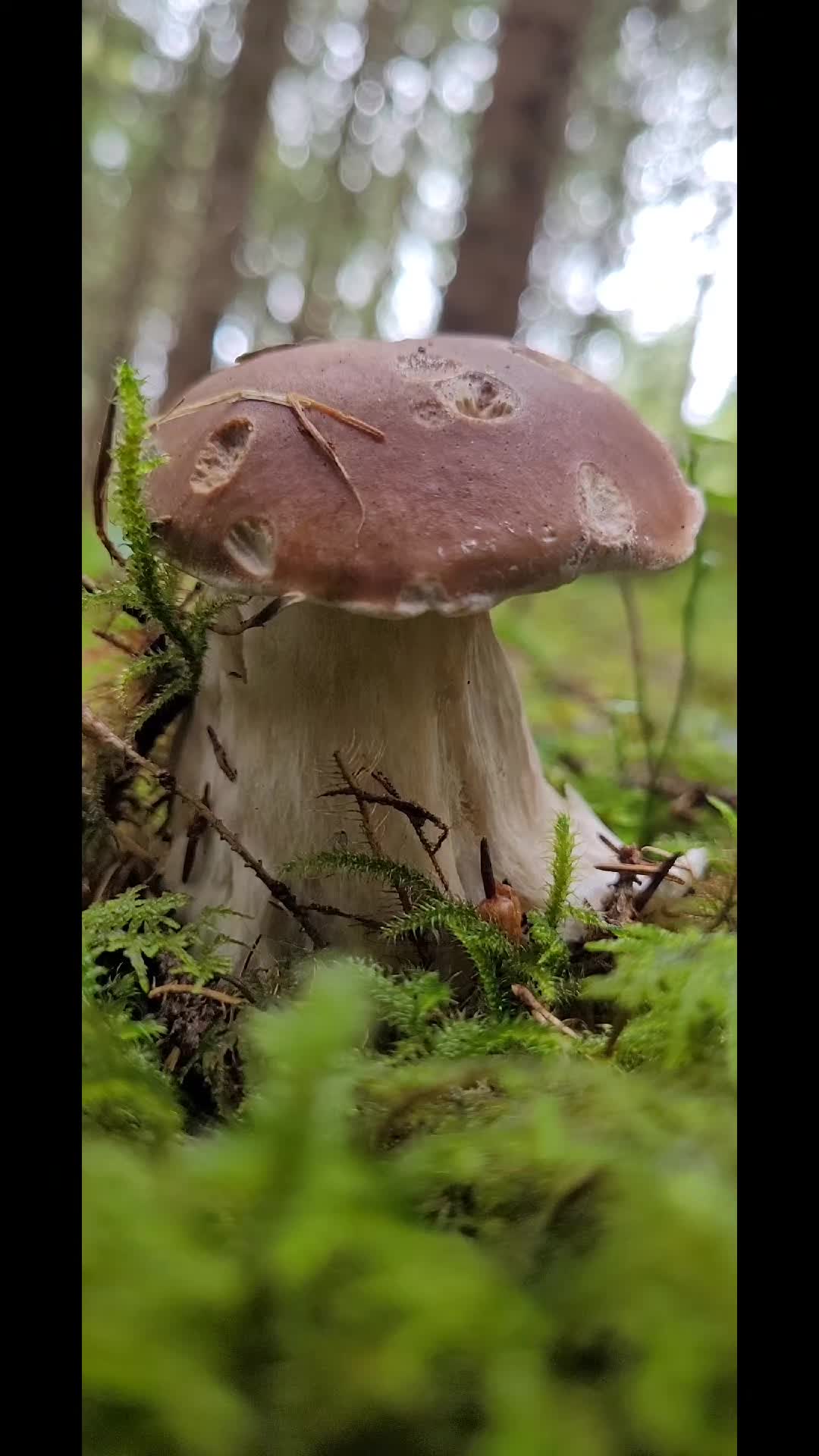 @FishyFishy