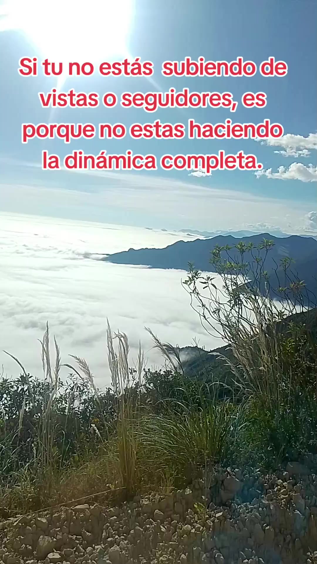 @EL TIO JE