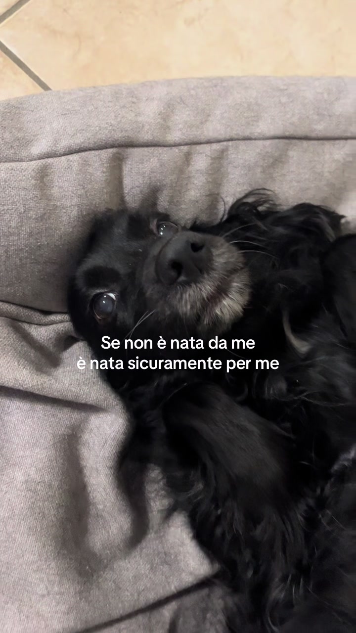 @Kelly Marku