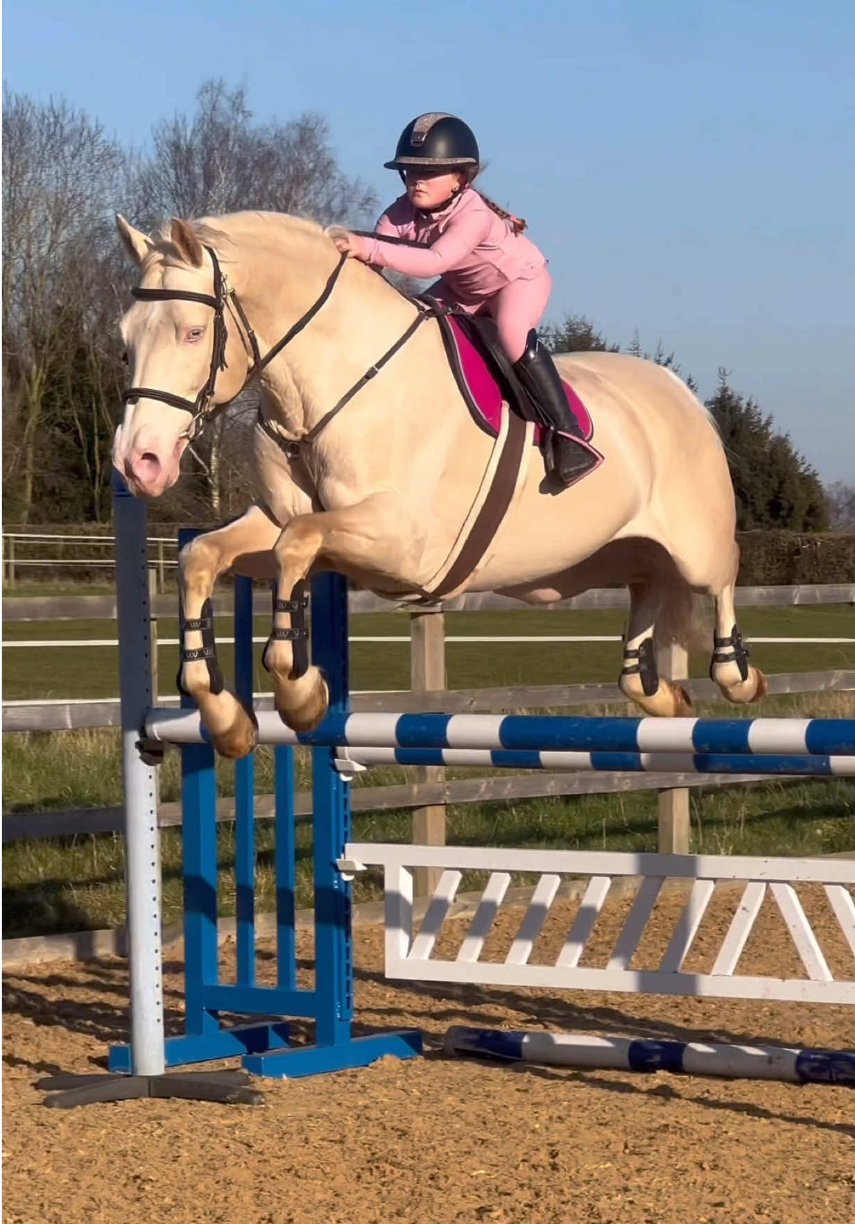 @Jumping With Ivy