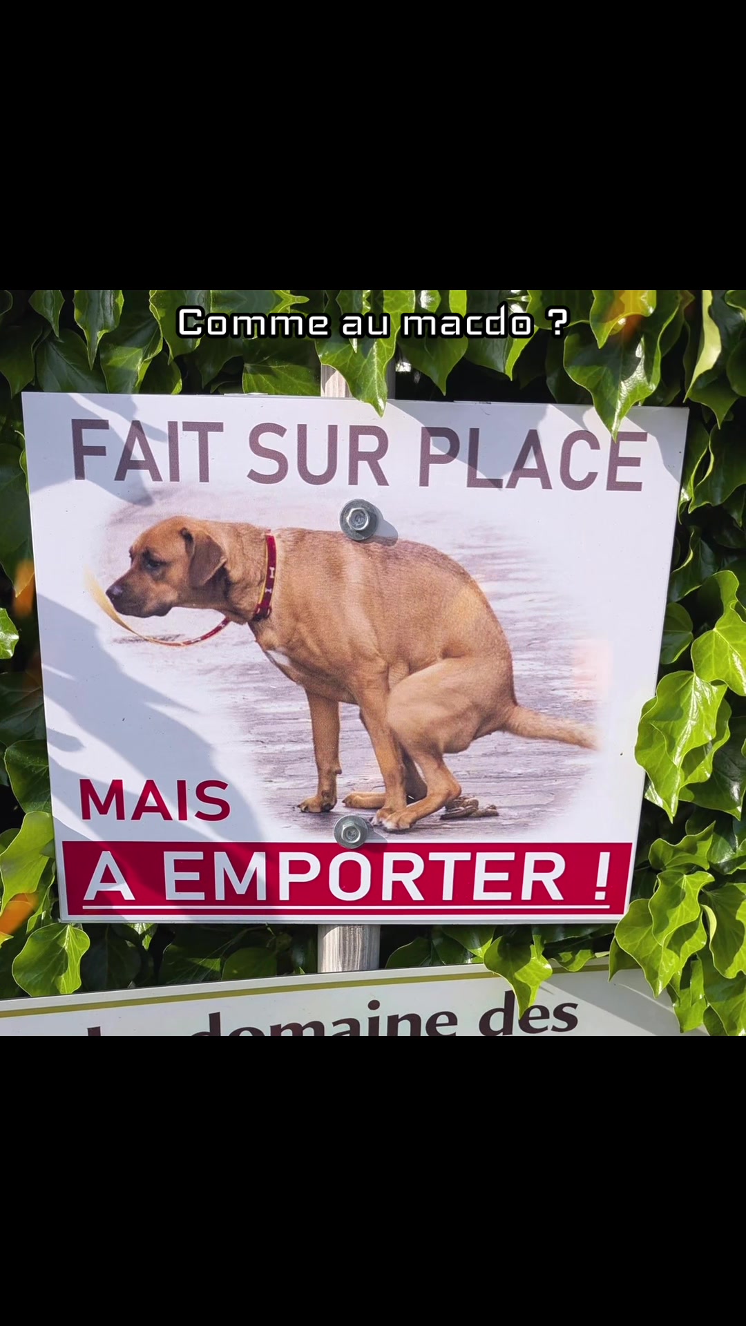 @Mr Zététique