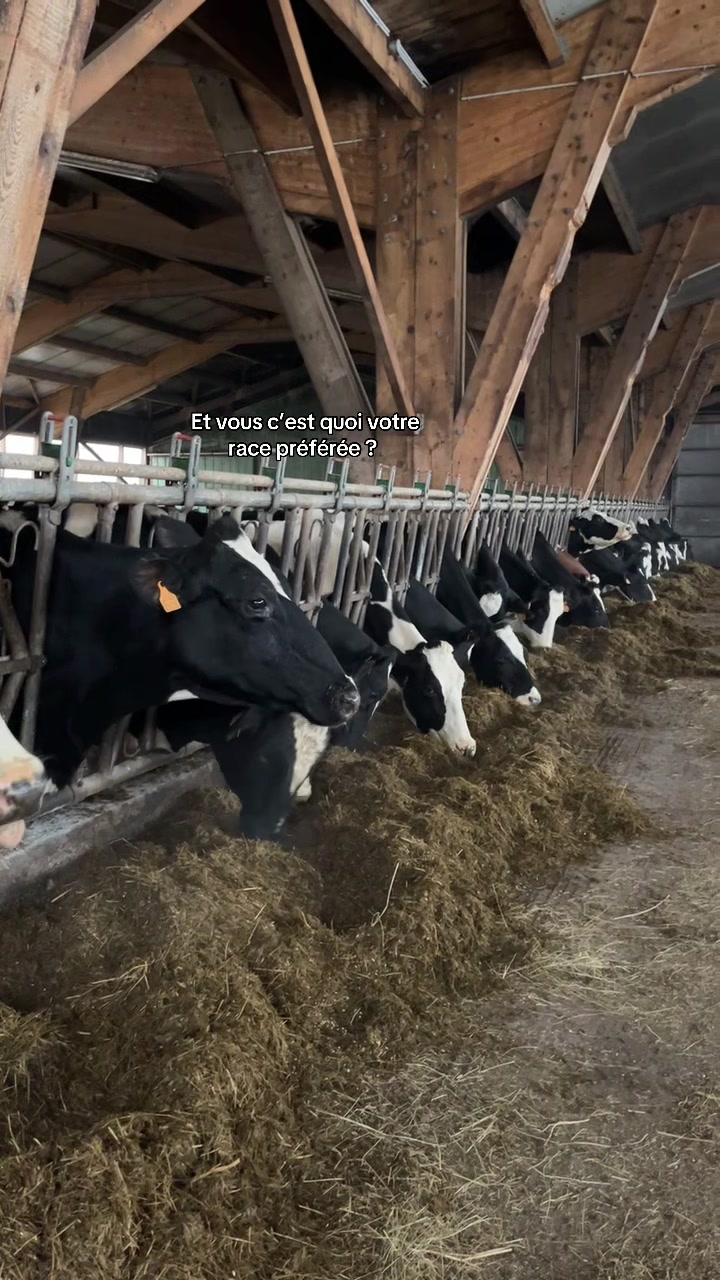 @🌾j'aime pas les veganes 🌾