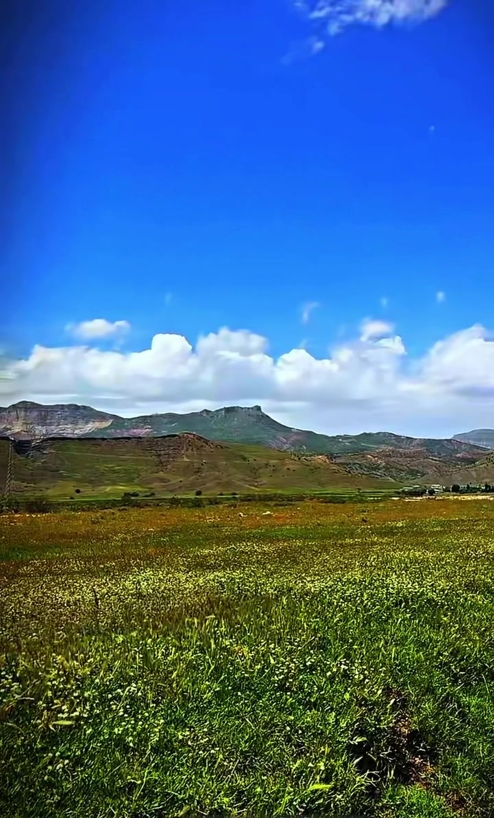 @ŞİYAR ✪