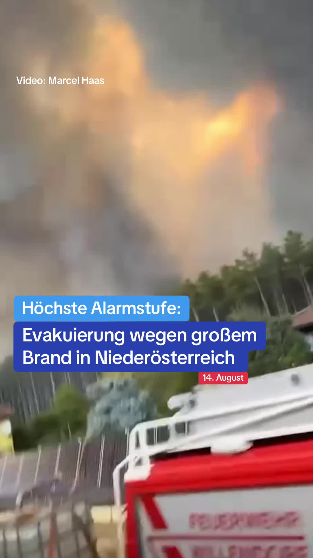 @Zeit im Bild - ZIB