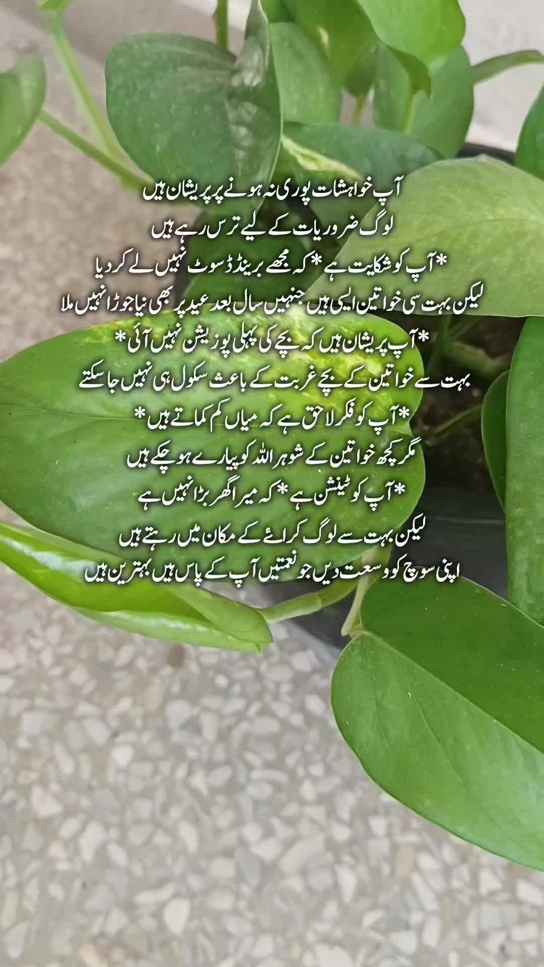 @Kainat Quotes