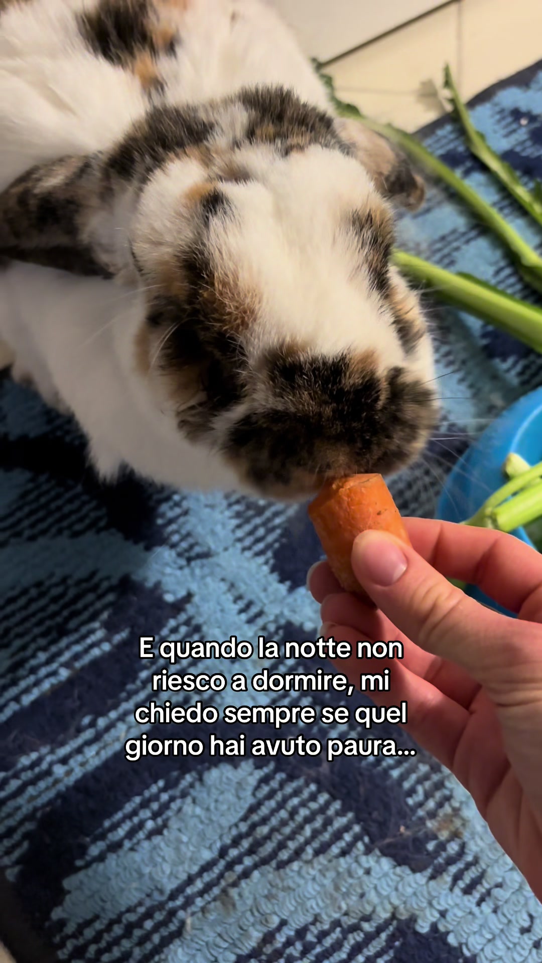 @𝗩 𝗮 𝗹 𝗲