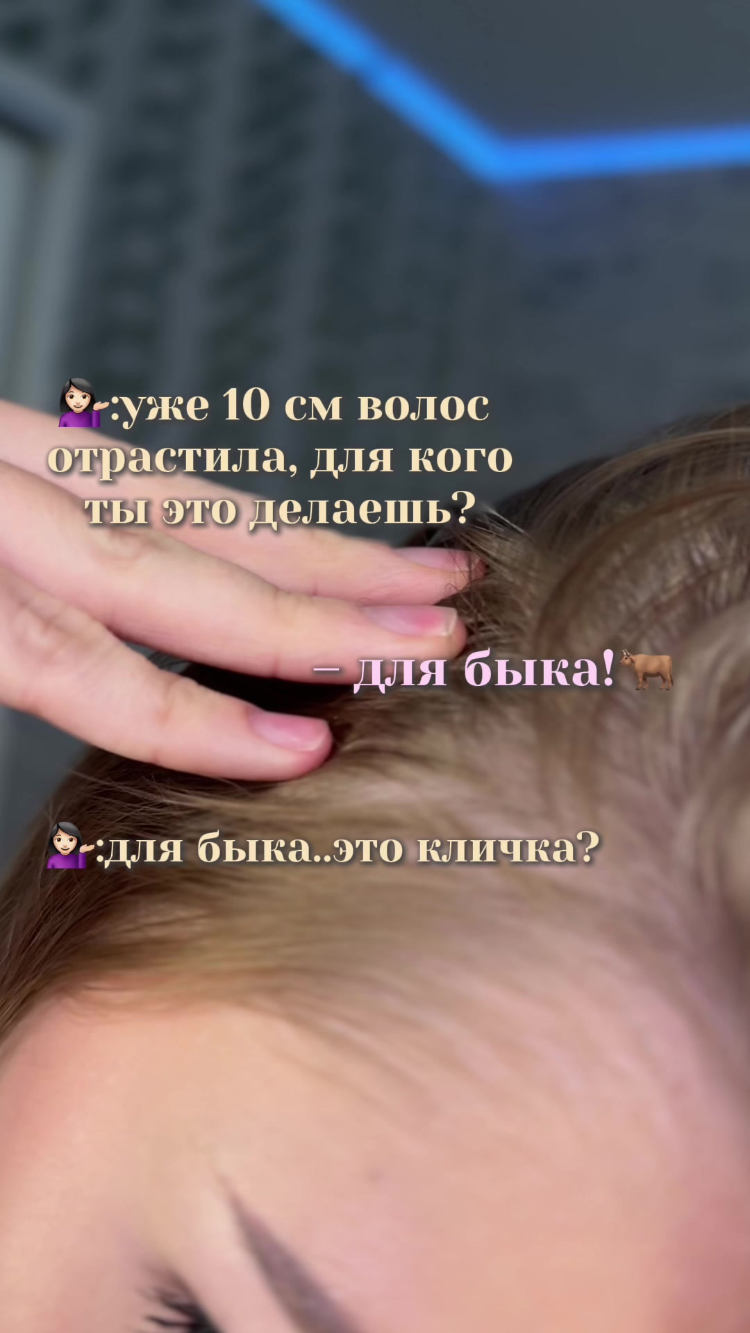 @лисюша рассказывает ||🦢