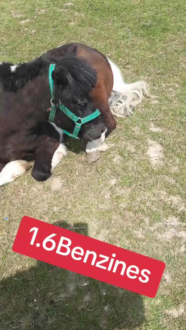 @🥊𝗞𝗟𝗔𝗙𝗜 🥊