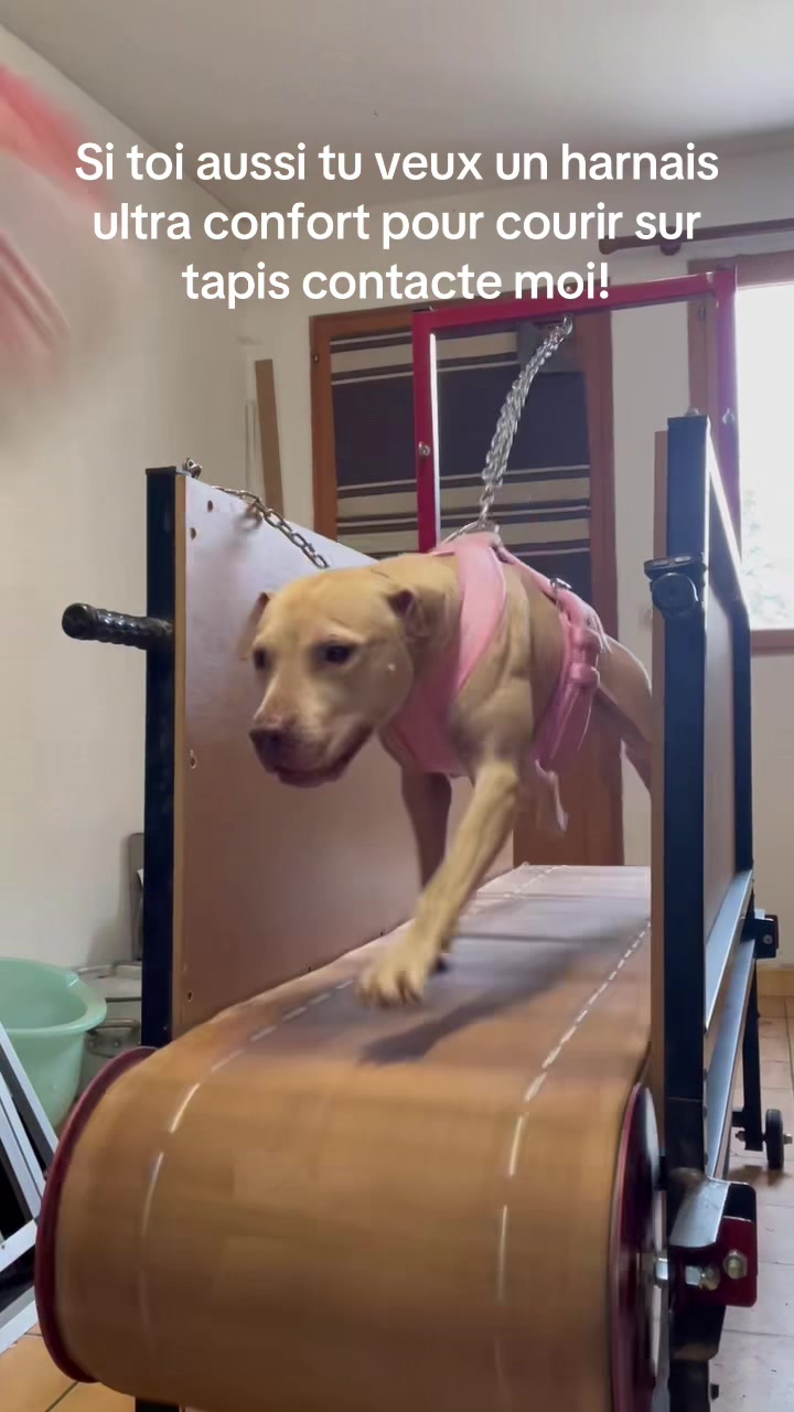 @kiara_isis_apbt