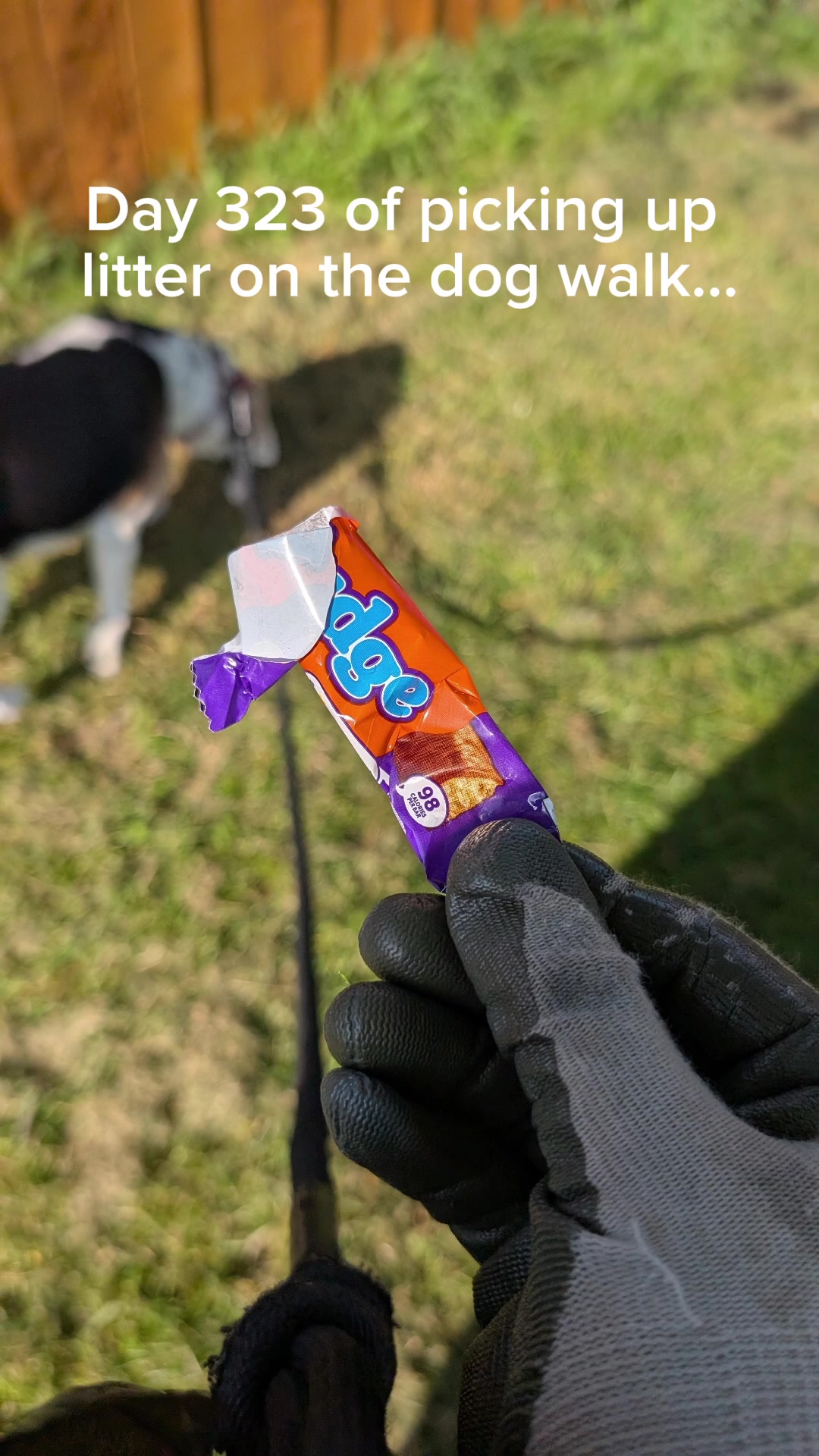 @LitterWalkiesWithRu