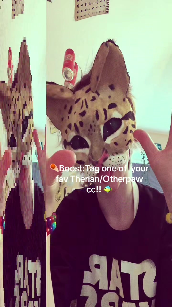 @𝑱𝑬𝑿𝑶. 💥🐯