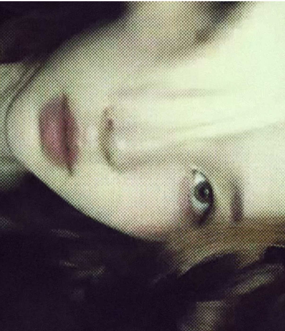 @vlada_elfie