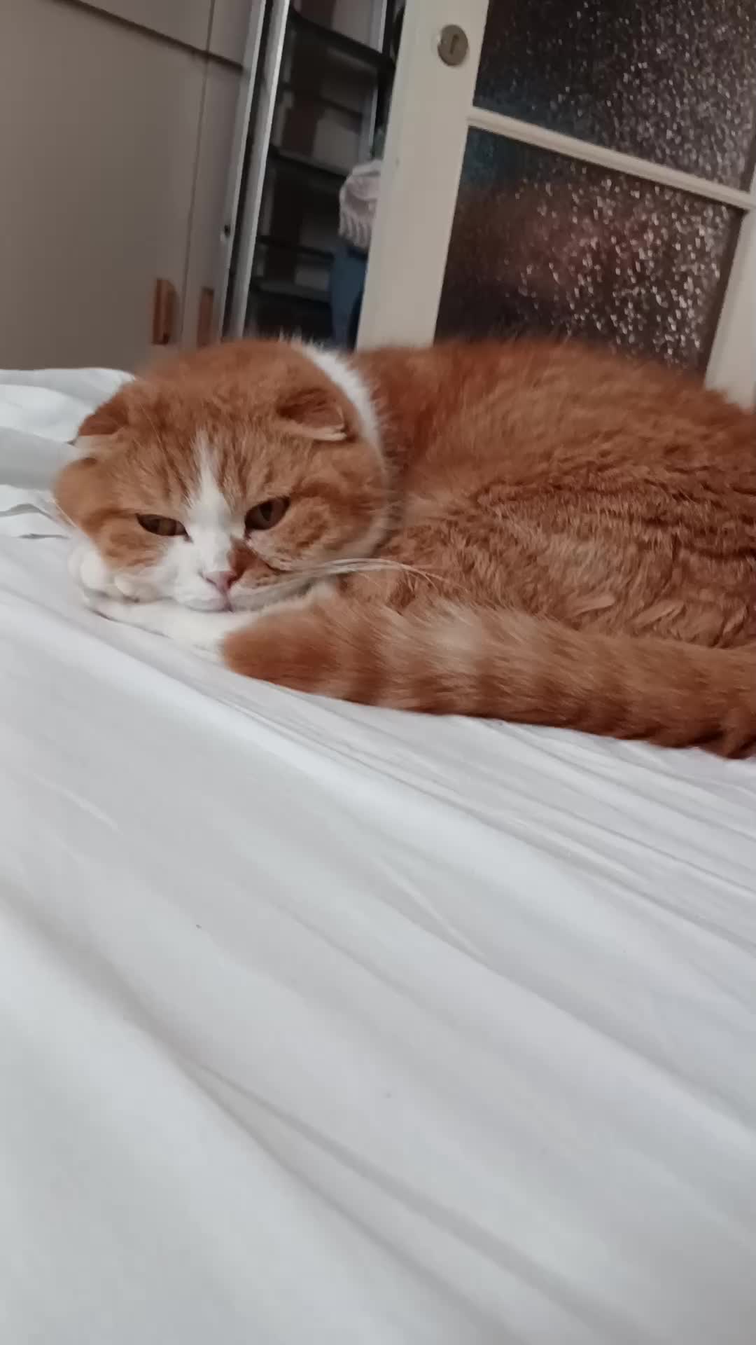 @Anneke & Simba