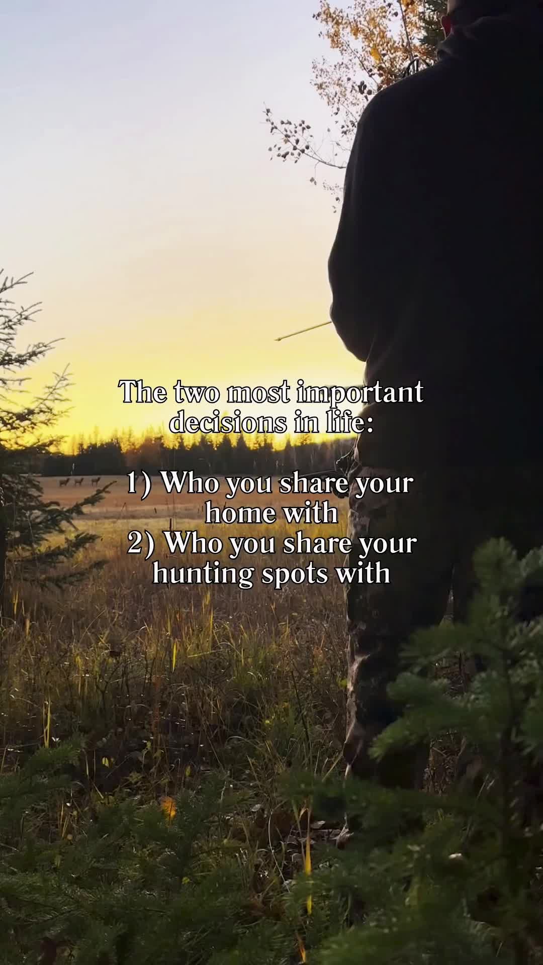 @montanamattproperties