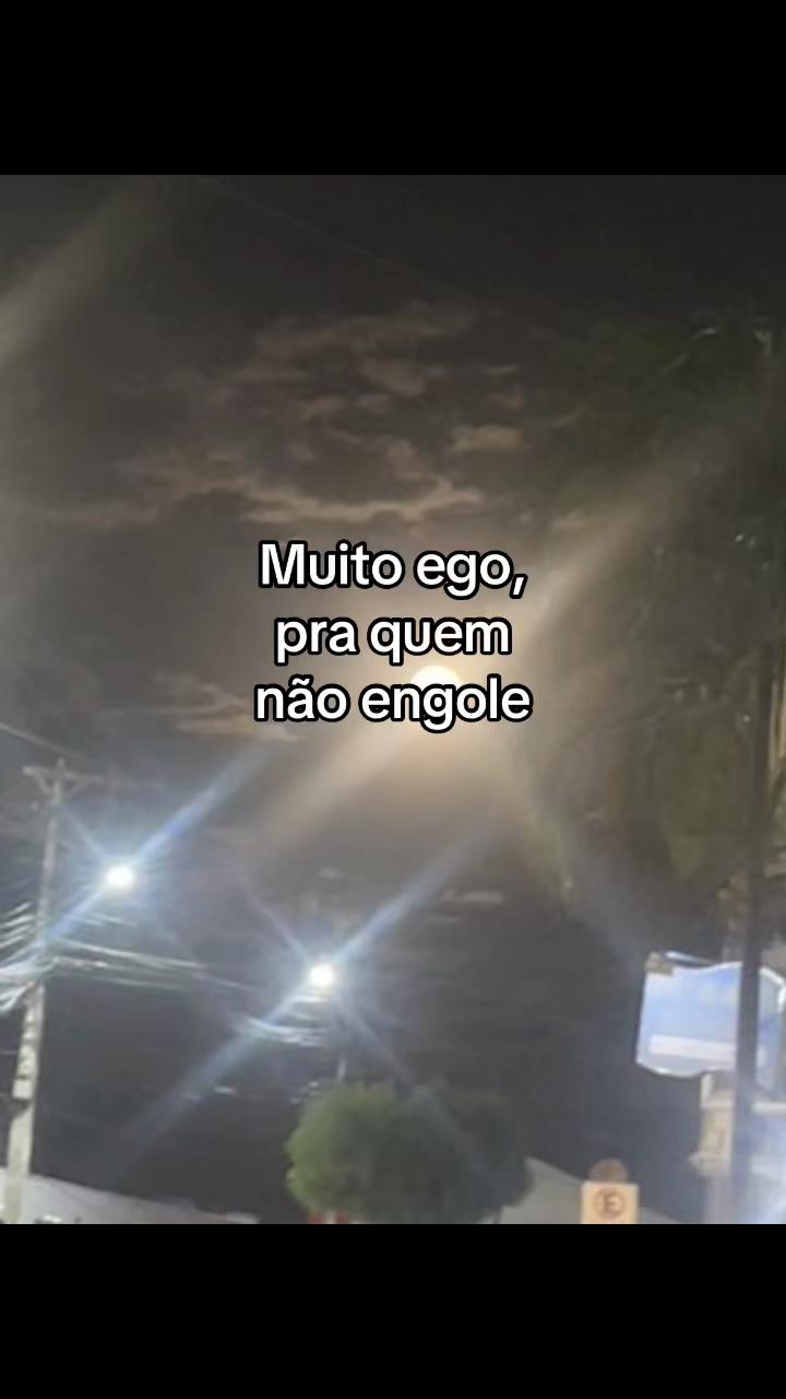 @Camale&atilde;o69🦎