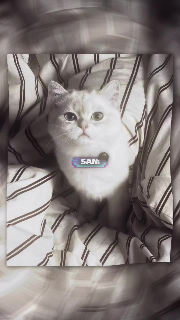 @Uzumaki Samsź 𝙂𝙂