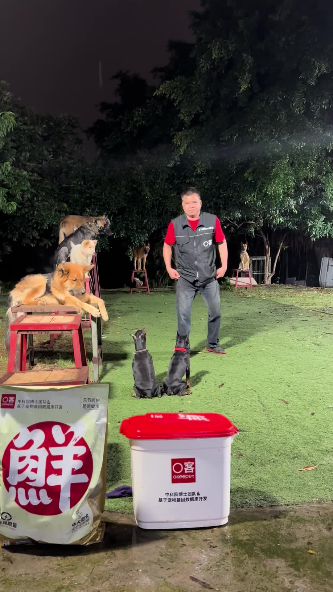 @Dog training ®